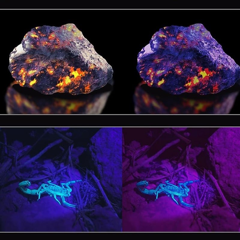 Discover Hidden Details with Brilliant UV Light