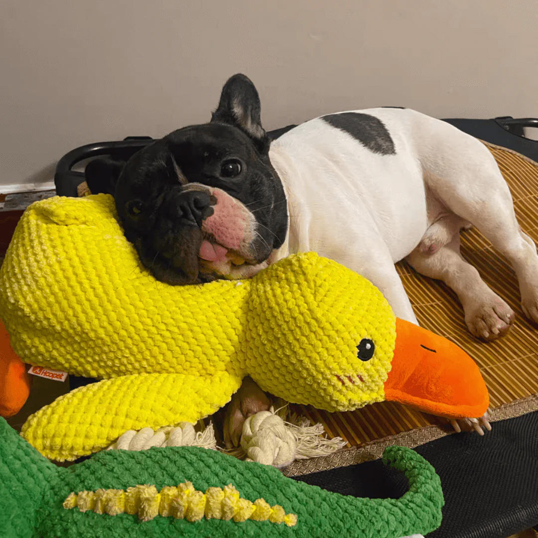 Soft Calming Dog Toy for Comfort and Mental Stimulation