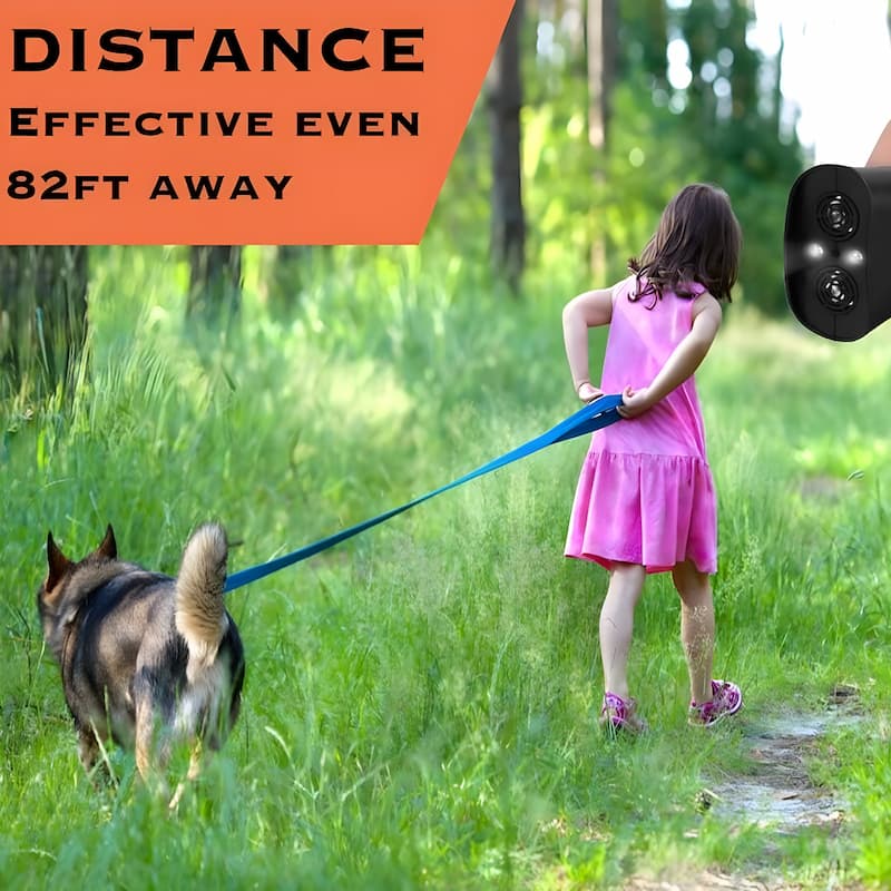 Ultrasound Training Aid for Dogs and Cats – Pain-Free Solution
