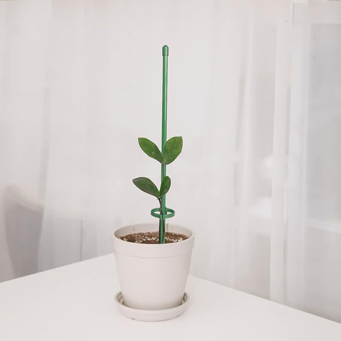 VerdantaGuard™ — Unbreakable Support That Transforms Plants Into Proud Garden Masterpieces