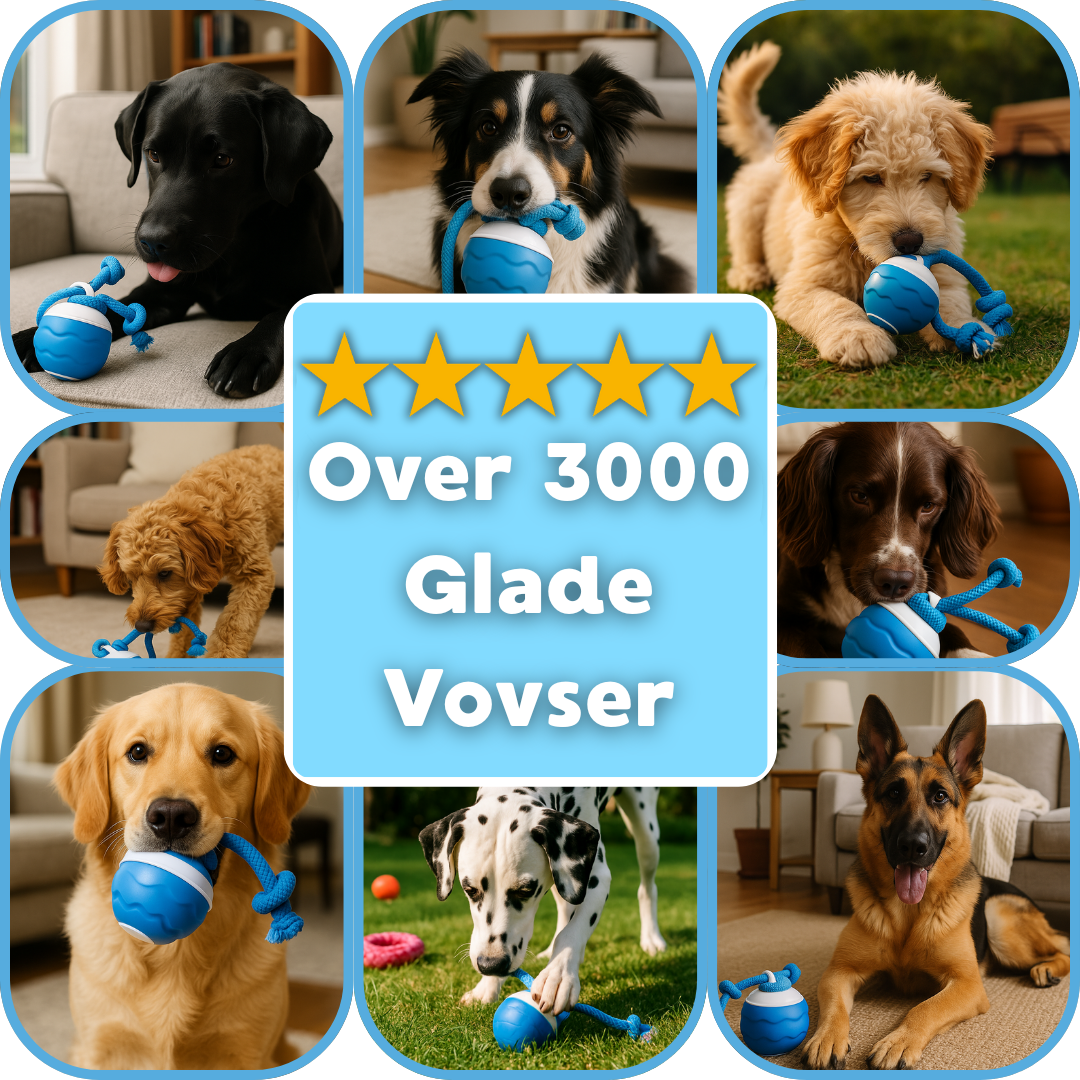 FurEverFun™ — Turn Boredom into Boundless Joy and a Radiant Smile