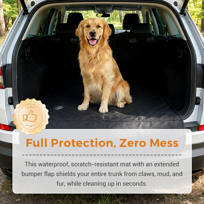 Maximum Comfort and Protection for Stress-Free Car Rides with Pets