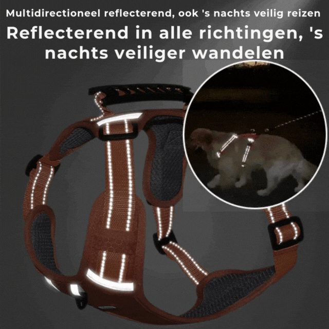 PawEase Harness - Enjoy Relaxed Walks Without Pulling and Maximum Comfort