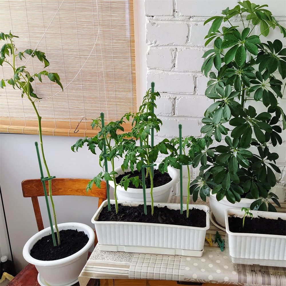 VerdantaGuard™ — Unbreakable Support That Transforms Plants Into Proud Garden Masterpieces