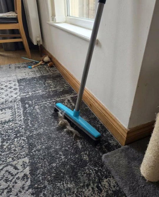 Pet Hair Remover – Eliminate Fur and Enjoy a Hair-Free Home
