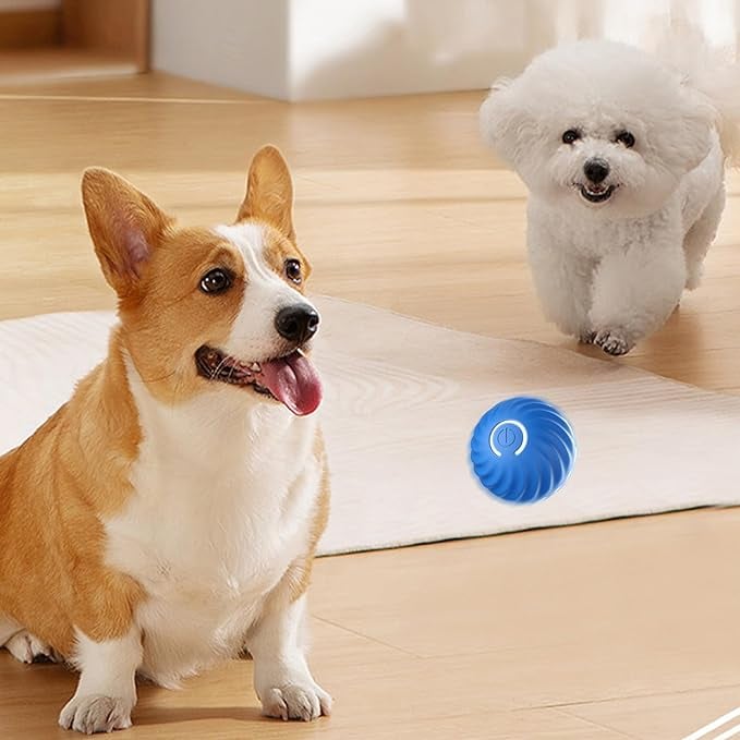 VitaPounce™ — Ignite Your Dog’s Wild Instincts with Endless, Hands-Free Play
