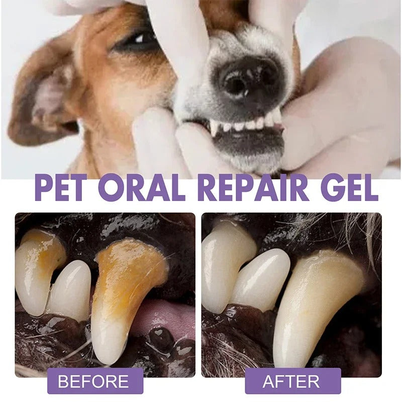 FreshPaws™ Dental Gel — Transform Your Pet’s Smile with Soothing, Long-Lasting Freshness