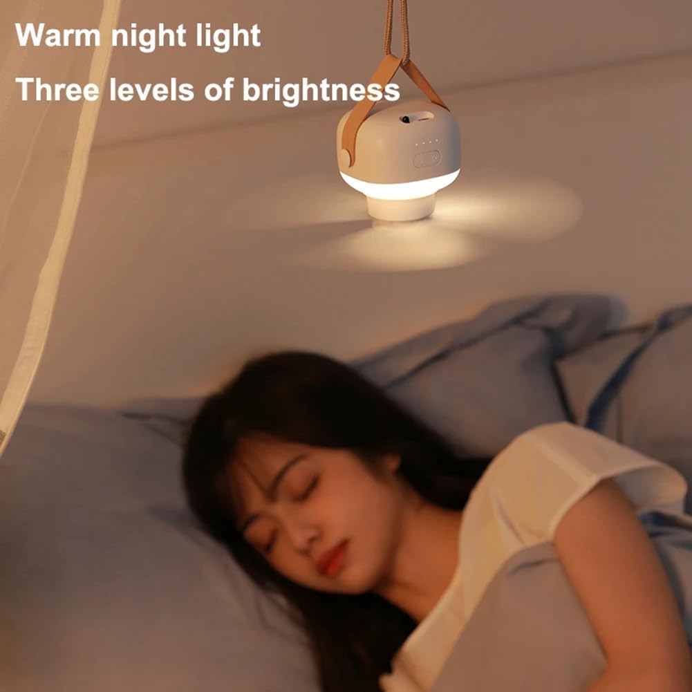 Hanging Fan with LED Light