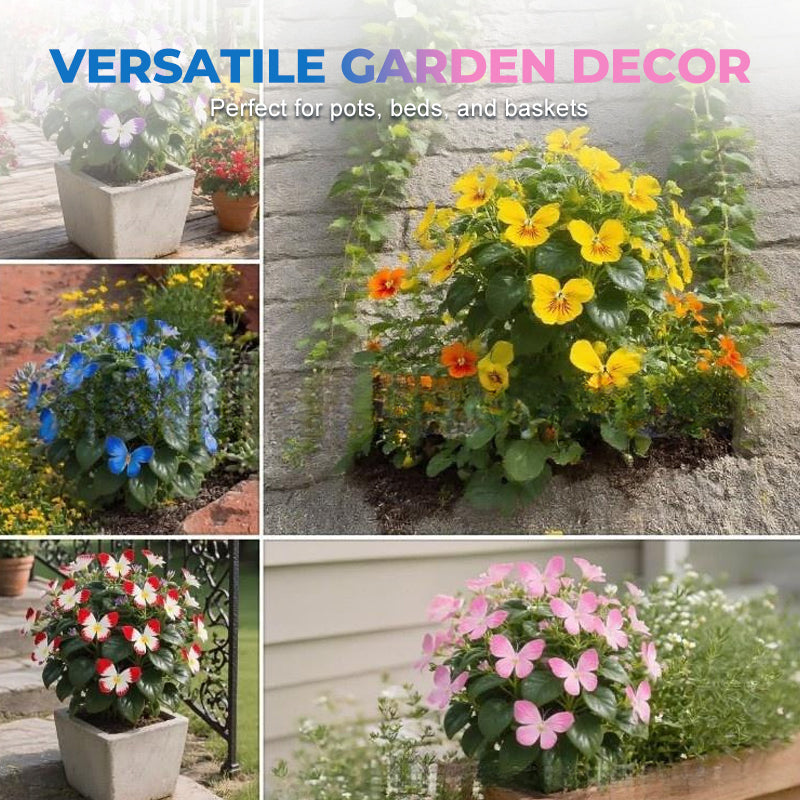 FlutterMuse™ Butterfly Bloom Seeds — Transform Your Garden into a Magical Butterfly Wonderland