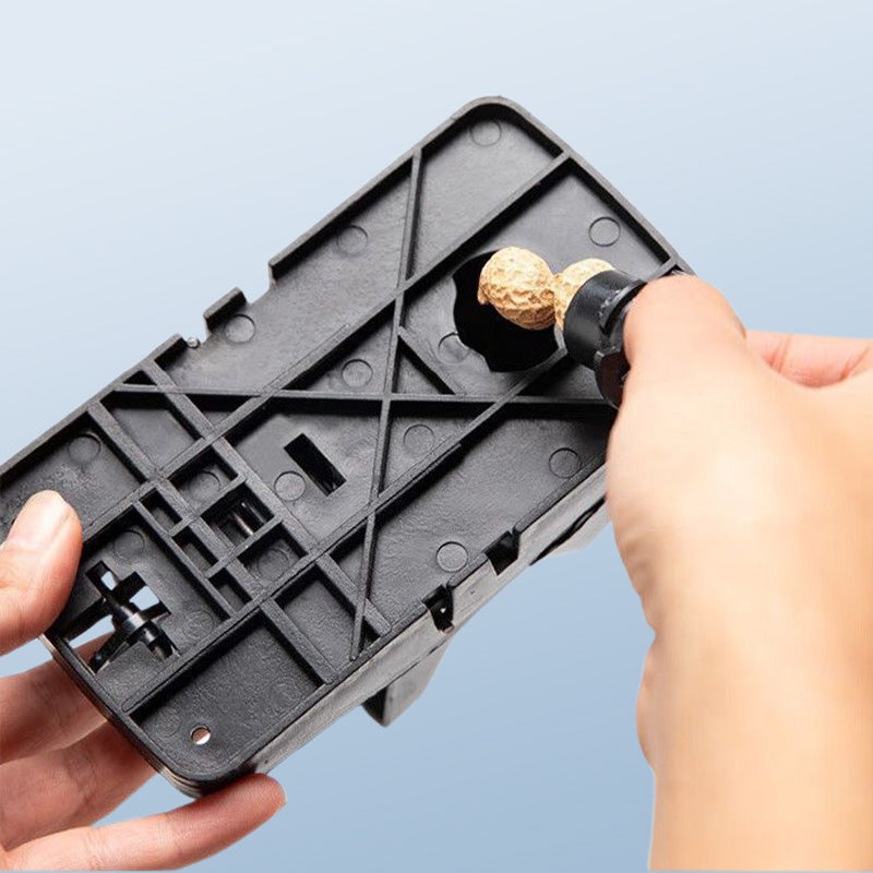 Rodent Control Solution for a Safe and Clean Home