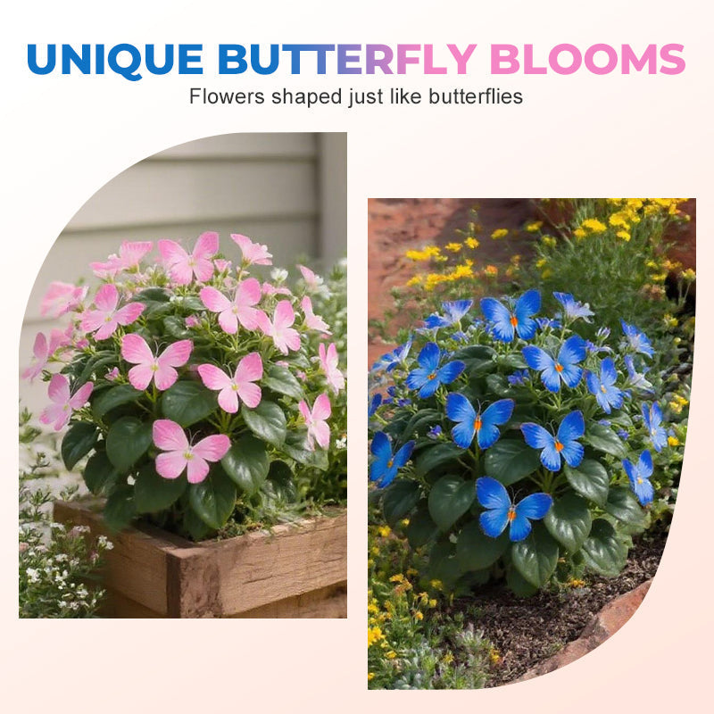 FlutterMuse™ Butterfly Bloom Seeds — Transform Your Garden into a Magical Butterfly Wonderland