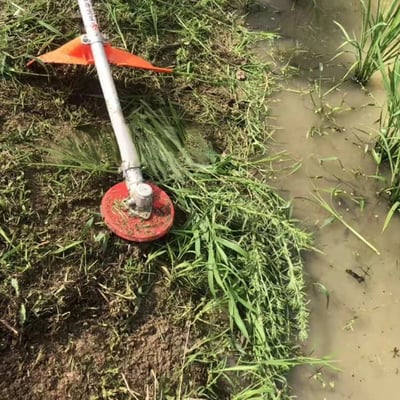 Weed Removal Disc – Professional Tool for Stubborn Weeds