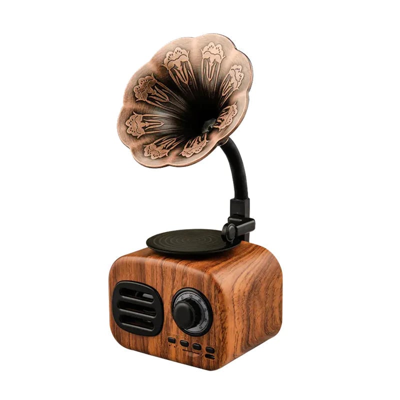 Timeless Elegance and Heartfelt Music Experience