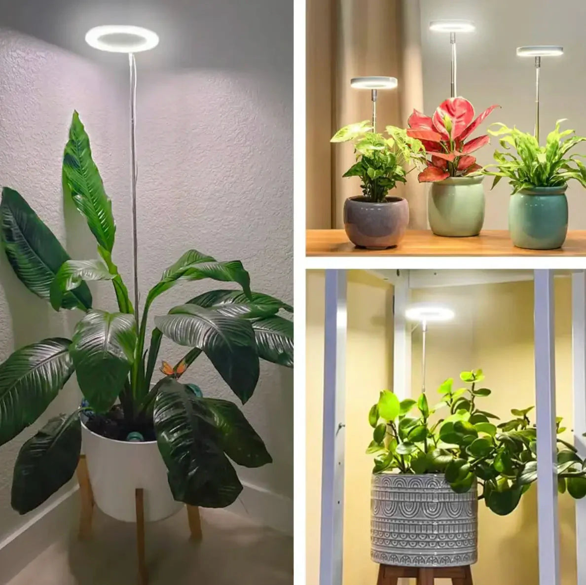 Plant Lamp | Full Spectrum Growing Light | Timer and Brightness Control | PlantGlow