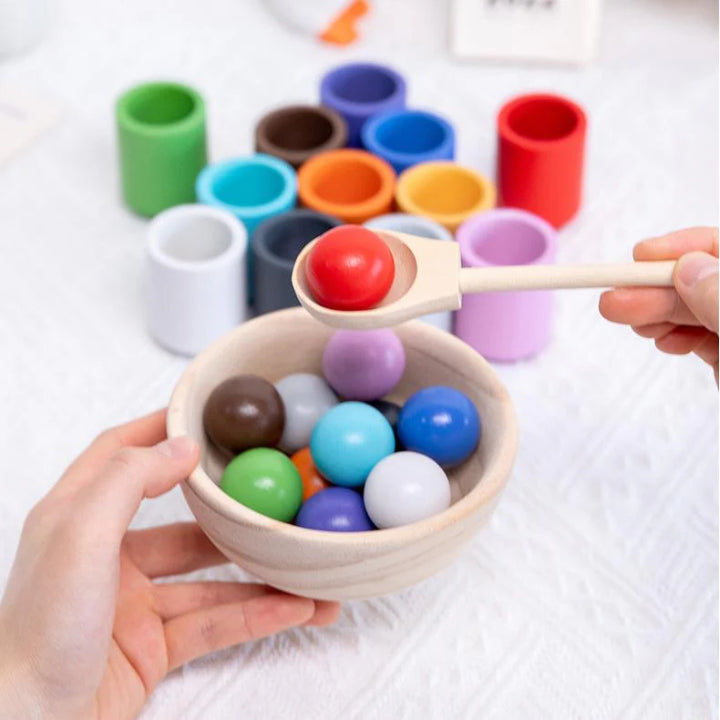 Wood Kit for Color Matching