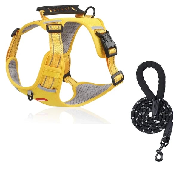 PawEase Harness - Enjoy Relaxed Walks Without Pulling and Maximum Comfort