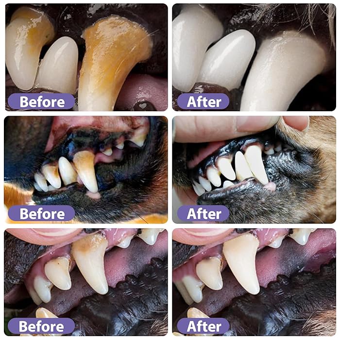 FreshPaws™ Dental Gel — Transform Your Pet’s Smile with Soothing, Long-Lasting Freshness