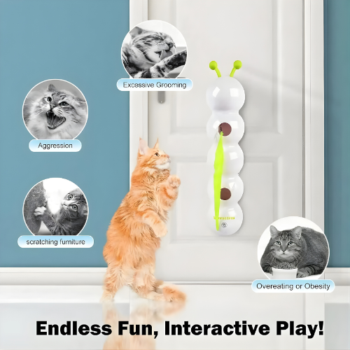 Carnivor™ — Ignite Your Cat’s Wild Instincts for Non-Stop Play and Sharp Focus