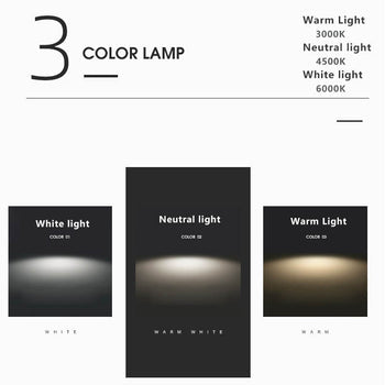 Circular LED Ceiling Light