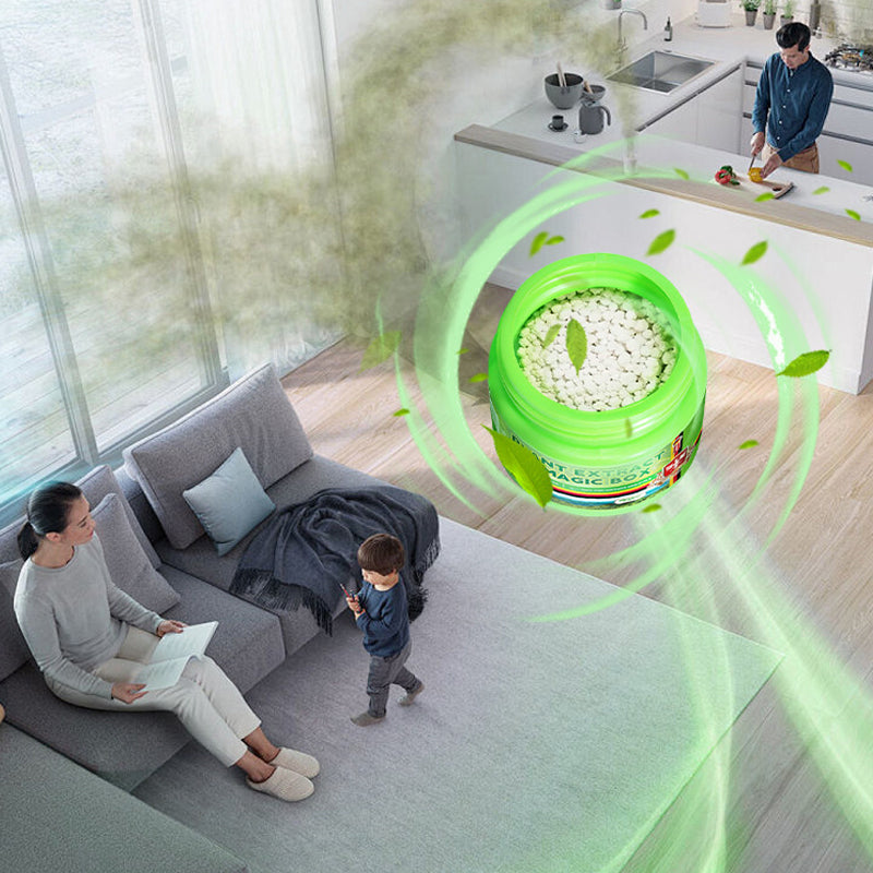 Pure Freshness for Your Home – Transform Your Space into a Relaxing Oasis