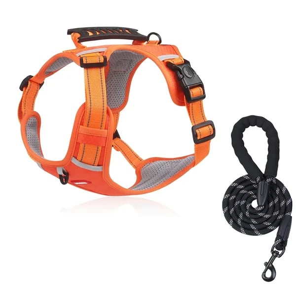 PawEase Harness - Enjoy Relaxed Walks Without Pulling and Maximum Comfort
