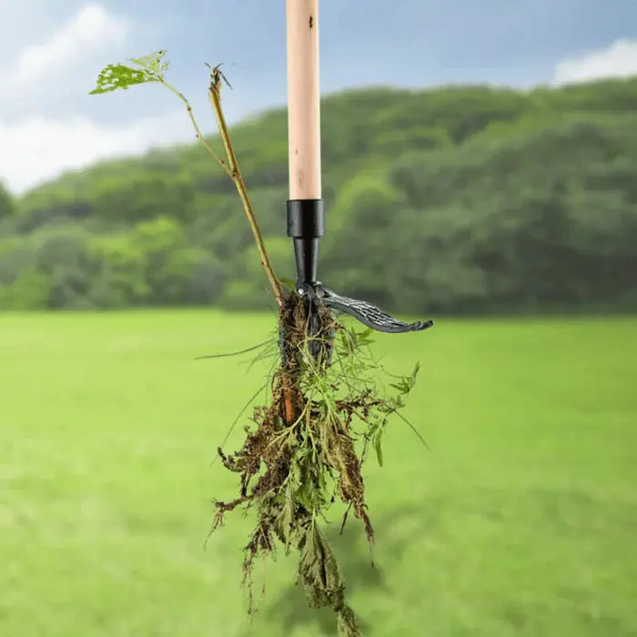 Weed Extractor with Foot Lever | Effective Weed Removal | Extended Handle | RootRaus