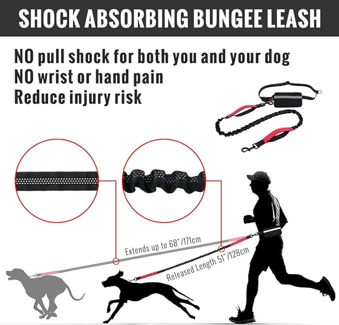 Soft Control Dog Leash for Relaxed Walks Without Jerking