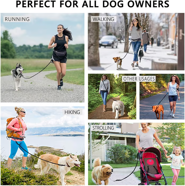 Soft Control Dog Leash for Relaxed Walks Without Jerking
