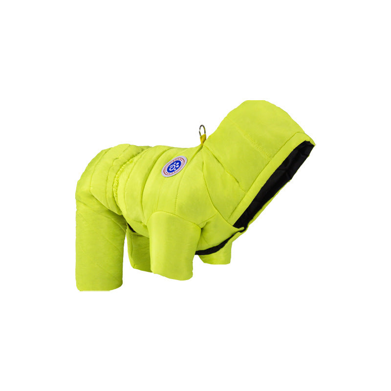 Transform Cold Winter Days into Cozy Comfort Moments for Your Dog