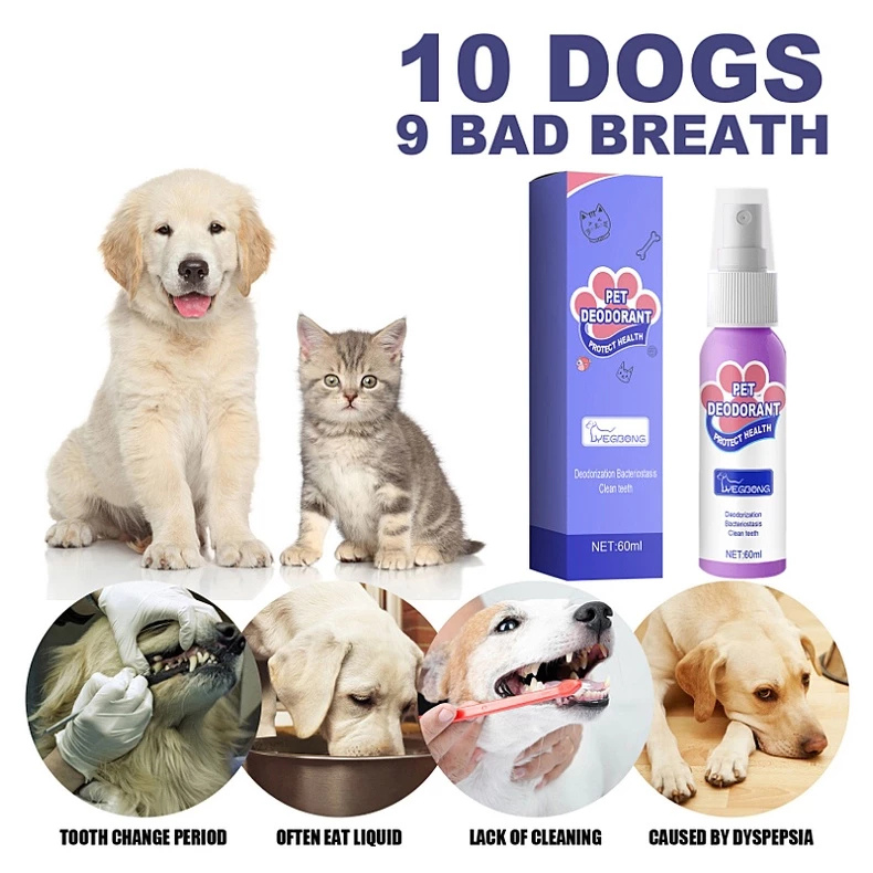FreshPaws™ — Instantly Refresh Your Pet’s Breath for Closer, Happier Cuddles