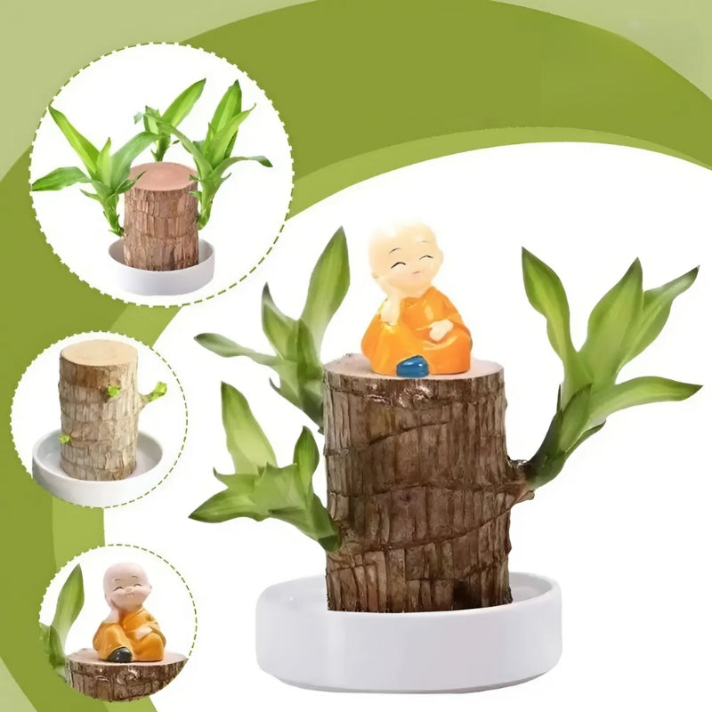 VerdeAura™ — Instantly Transform Any Space into a Calm, Lucky Sanctuary