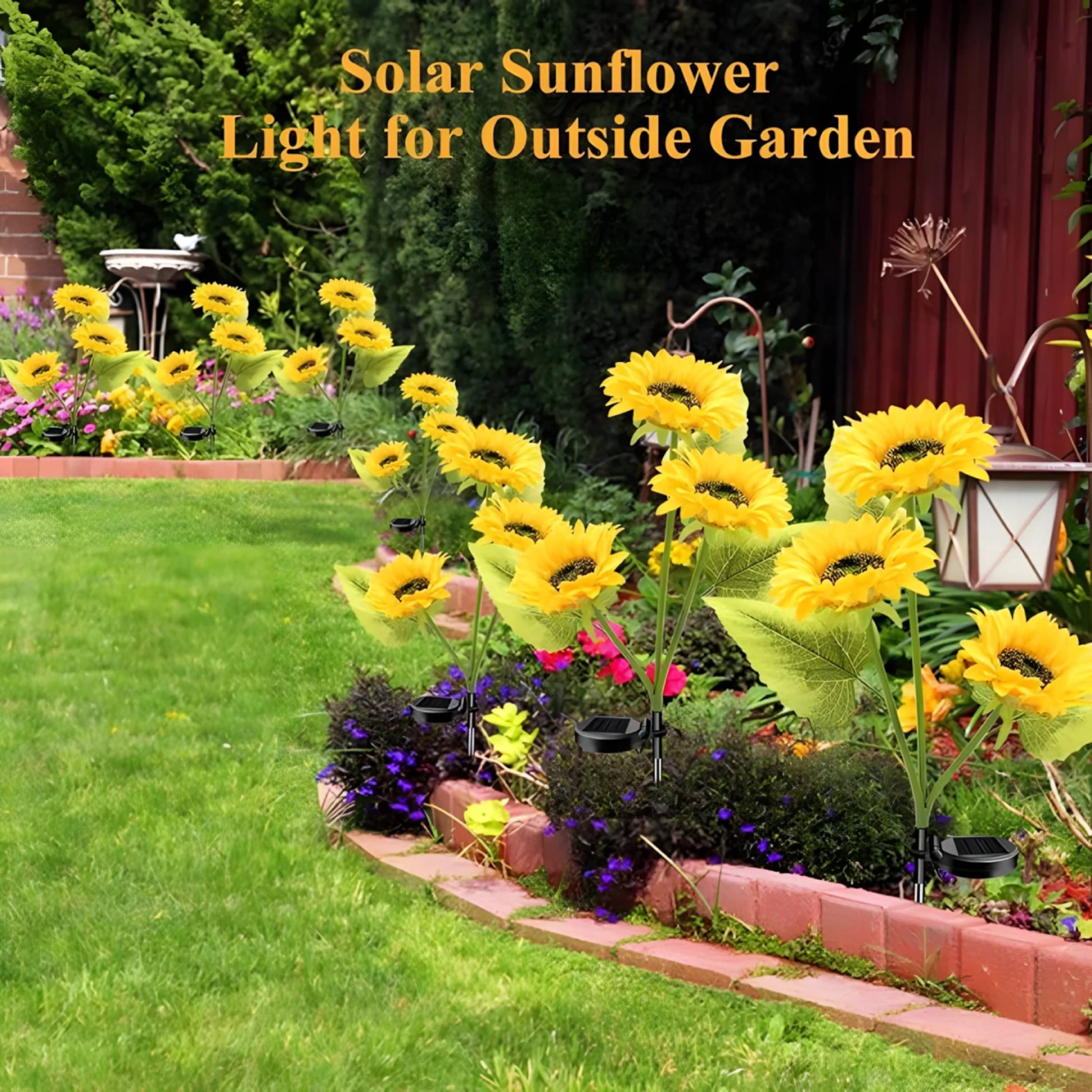 Transform Your Garden into a Relaxing Oasis Effortlessly