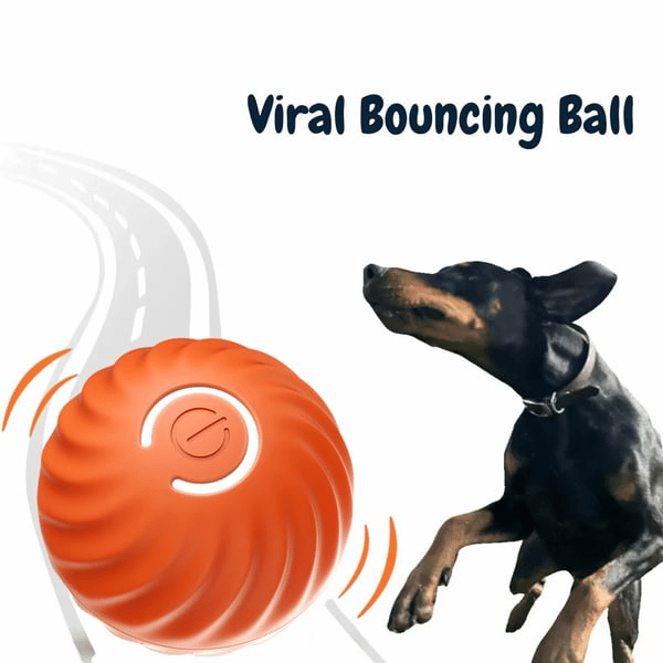 VitaPounce™ — Ignite Your Dog’s Wild Instincts with Endless, Hands-Free Play