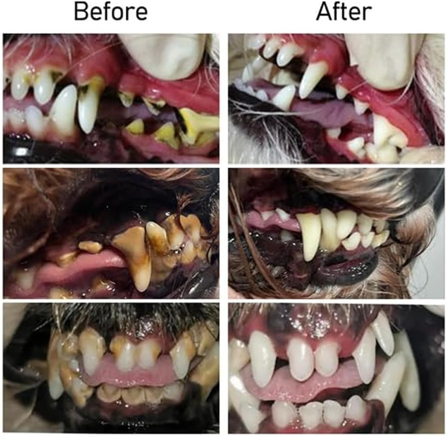 OralGlow™ — Bright Smile, Fresh Breath Quickly | Buy 1 Get 1 Free