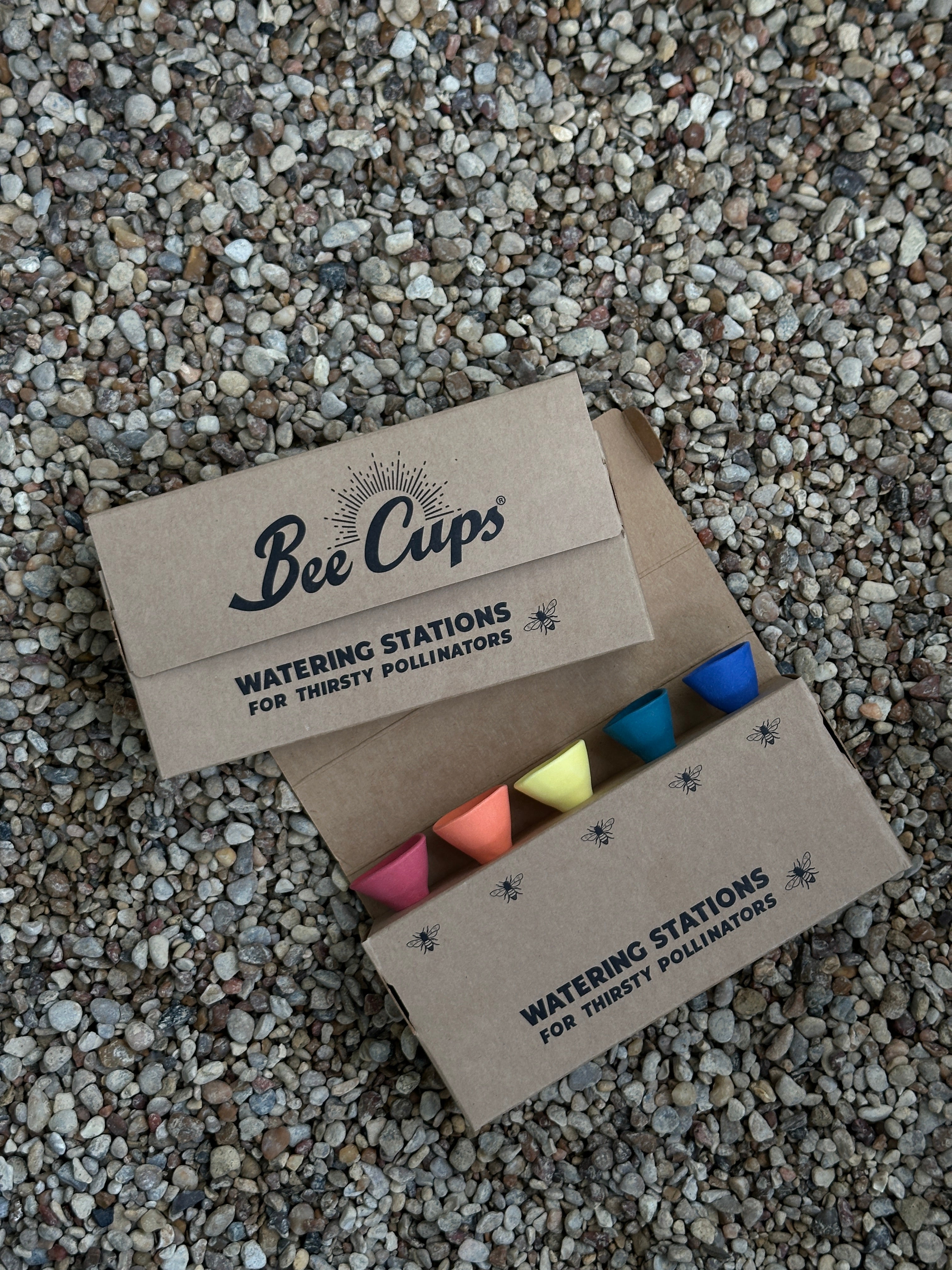 Bee Cups for a Vibrant Garden – Attract Pollinators and Enjoy Mosquito-Free Freshness