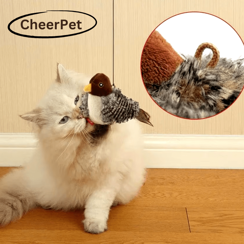Fliara™ — Spark Your Cat’s Wild Joy with Endless Fluttering Fun