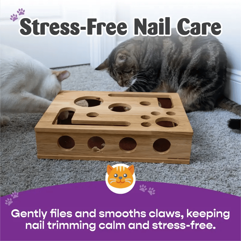 Stress-Free Nail Care for Cats - Fun Grooming Experience