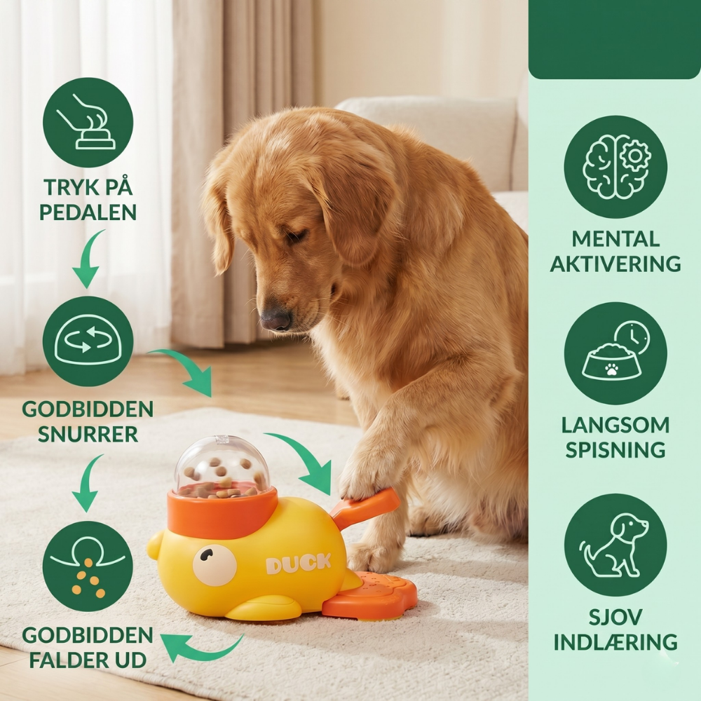 Slow Feeder for Dogs and Cats - FeediDuck Design