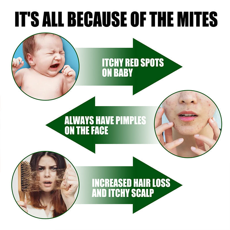 Rentela™ — Breathe Freely Again with Instant Dust Mite Defense