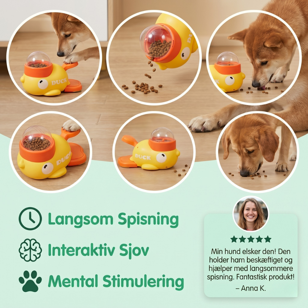 Slow Feeder for Dogs and Cats - FeediDuck Design