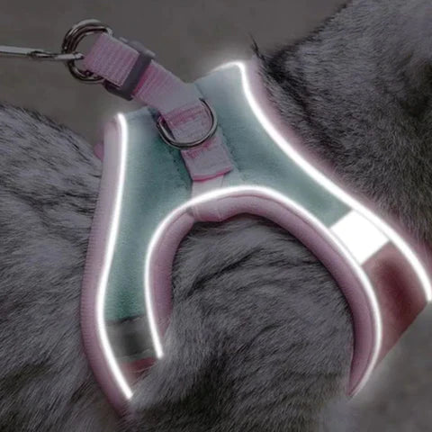 Comfort Harness for Cats - VeloraPaw Style