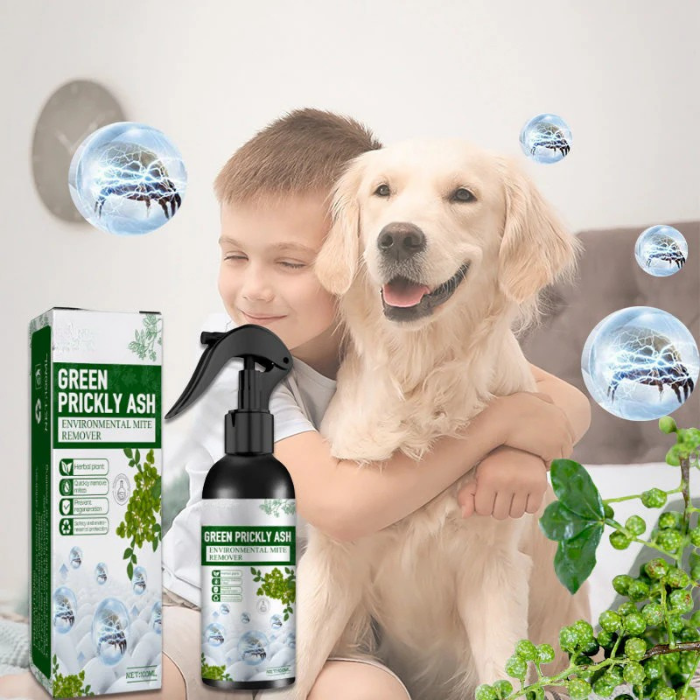 Rentela™ — Breathe Freely Again with Instant Dust Mite Defense