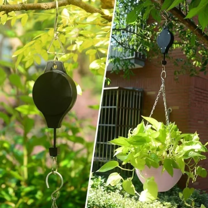 2+2 Free | Simple Plant Hanging Set