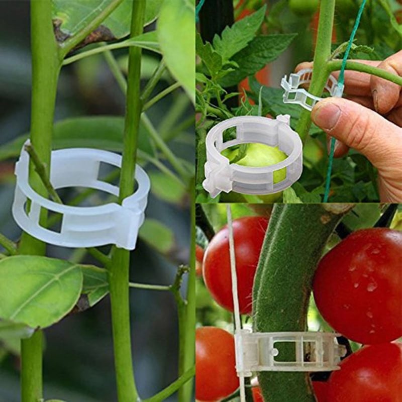 VerduraClips™ — Transform Your Garden with Triple-Speed, Damage-Free Growth