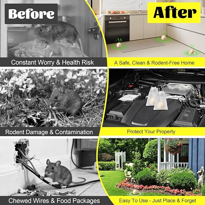 Natural Rodent Protection for a Pest-Free and Worry-Free Home
