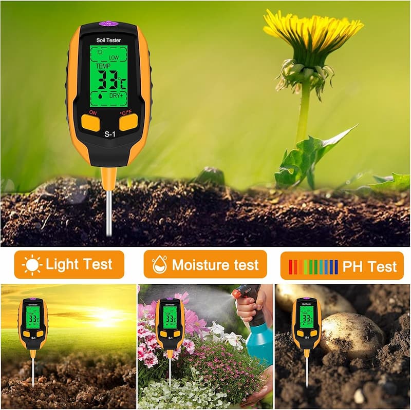 Explore Soil Secrets for Healthy, Thriving Plants
