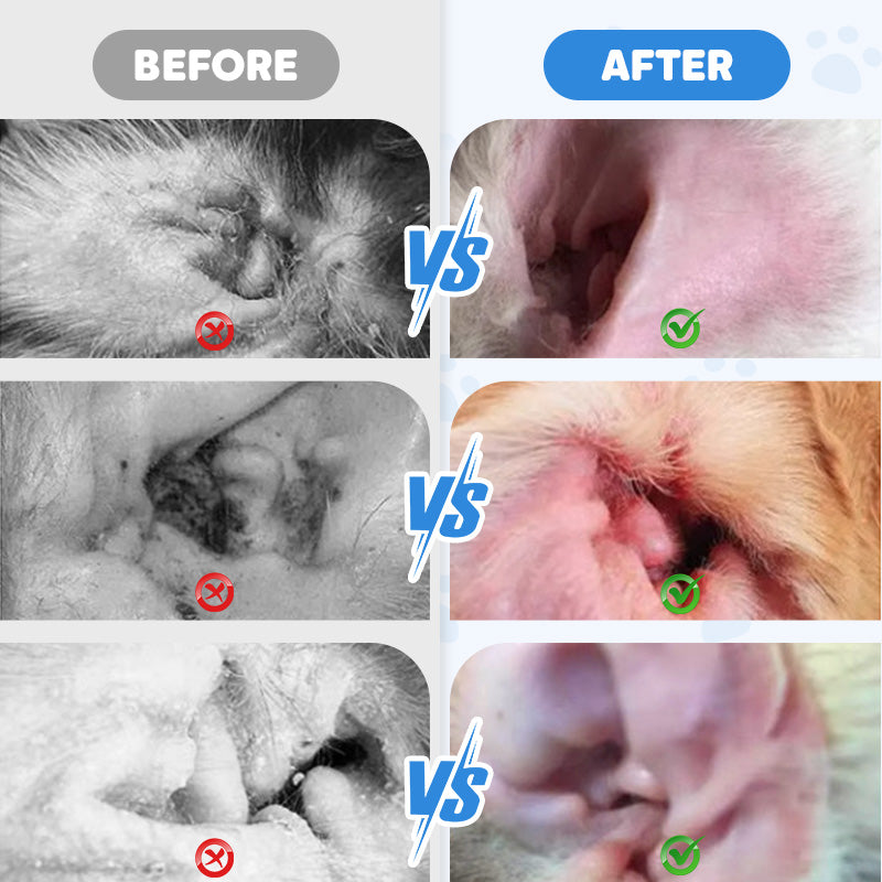 AurisEase™ — Instantly Soothe Your Pet’s Itchy Ears and Restore Happy, Healthy Comfort
