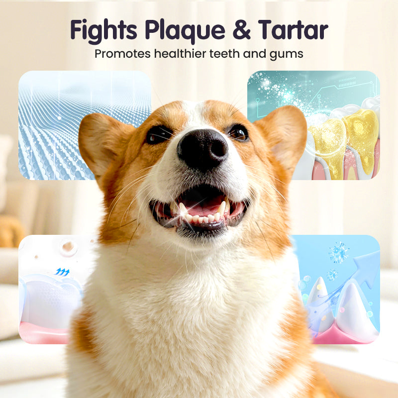 PurePaw™ — Sparkling Fresh Breath and Effortless Smiles for Your Beloved Pet