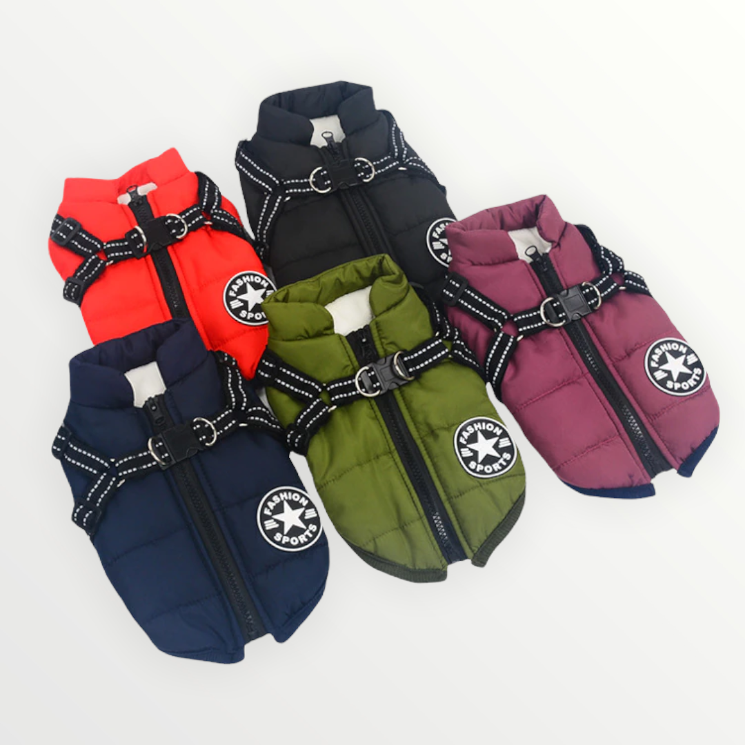 StormPaw™ Weather Jacket — Keep Your Dog Warm, Dry, and Effortlessly Controlled on Every Adventure