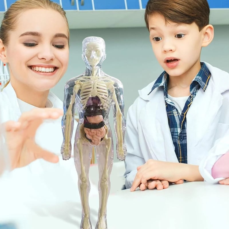 Unlock Your Potential to Truly Understand the Human Body